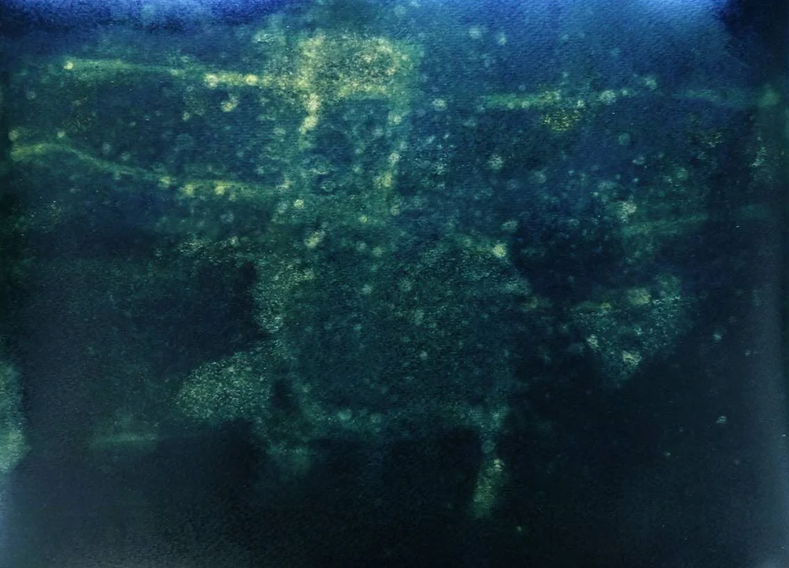 Chain-of-Ponds monotypes for Folio Box 2018